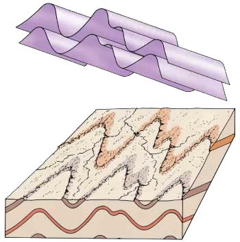 basic forms of folded layers