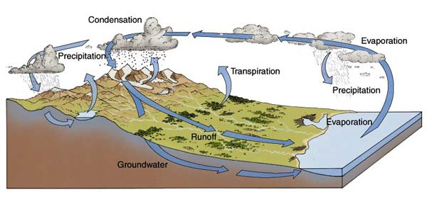 Hydrologic system