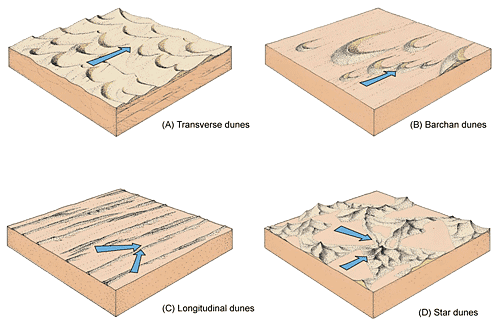 Types of dunes