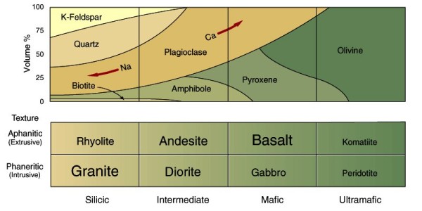 classification