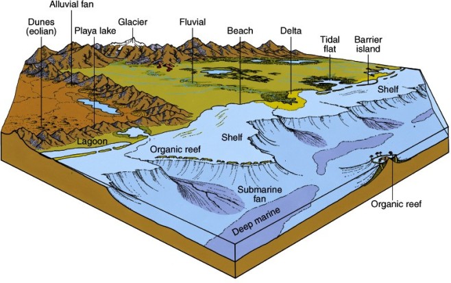 sed environments