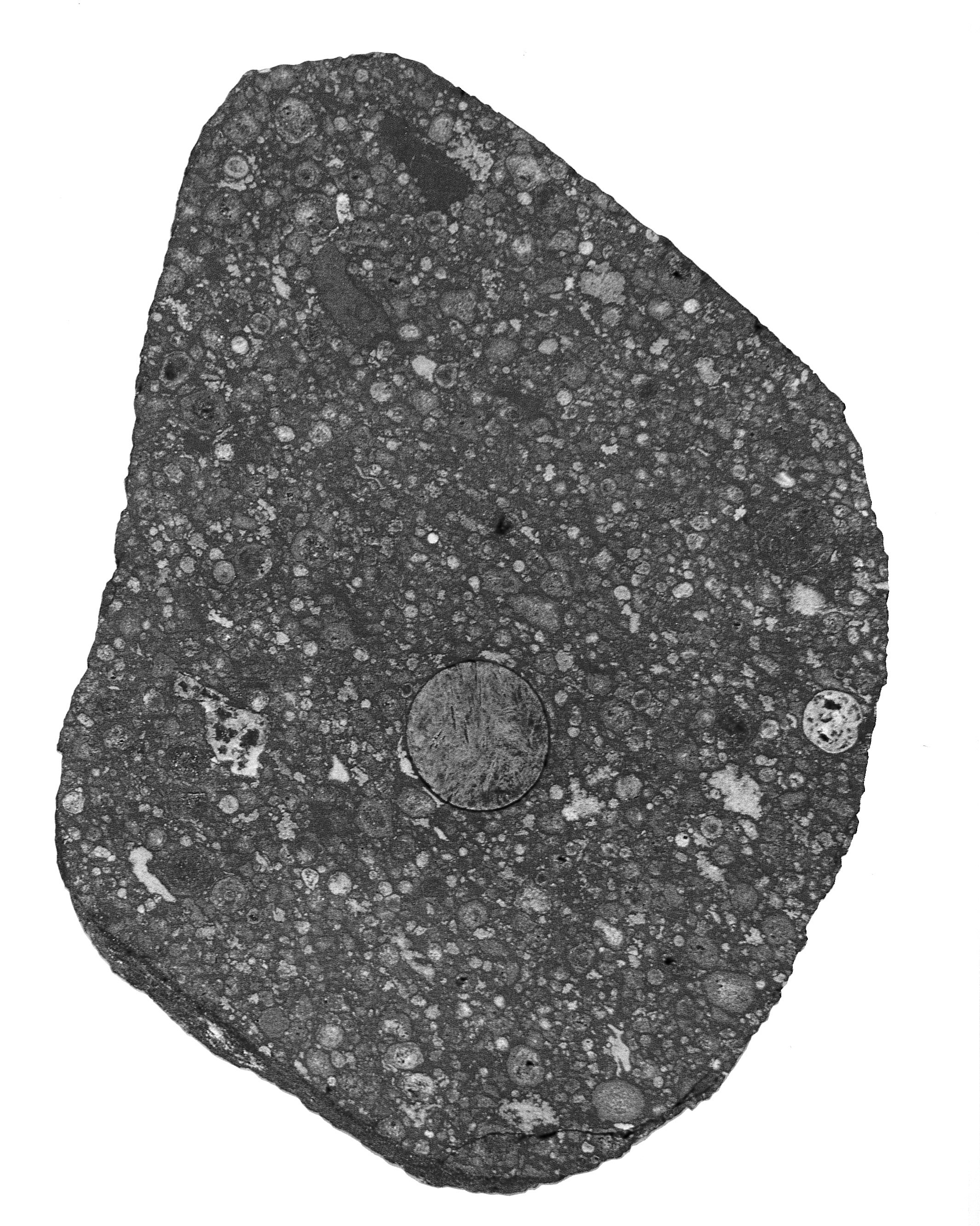 Chondrite