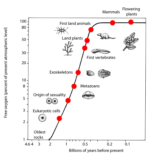 Enrichment of Oxygen in Earth's Atmosphere