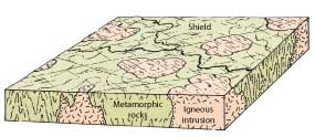 The shield, block diagram