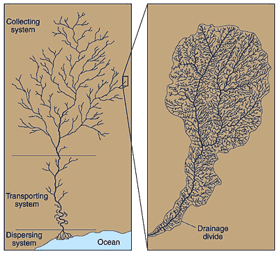 Major parts of a river system