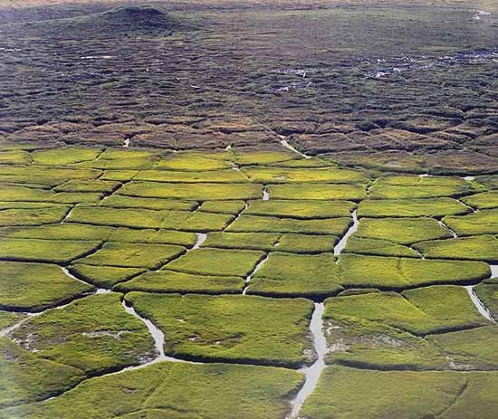 Scablands