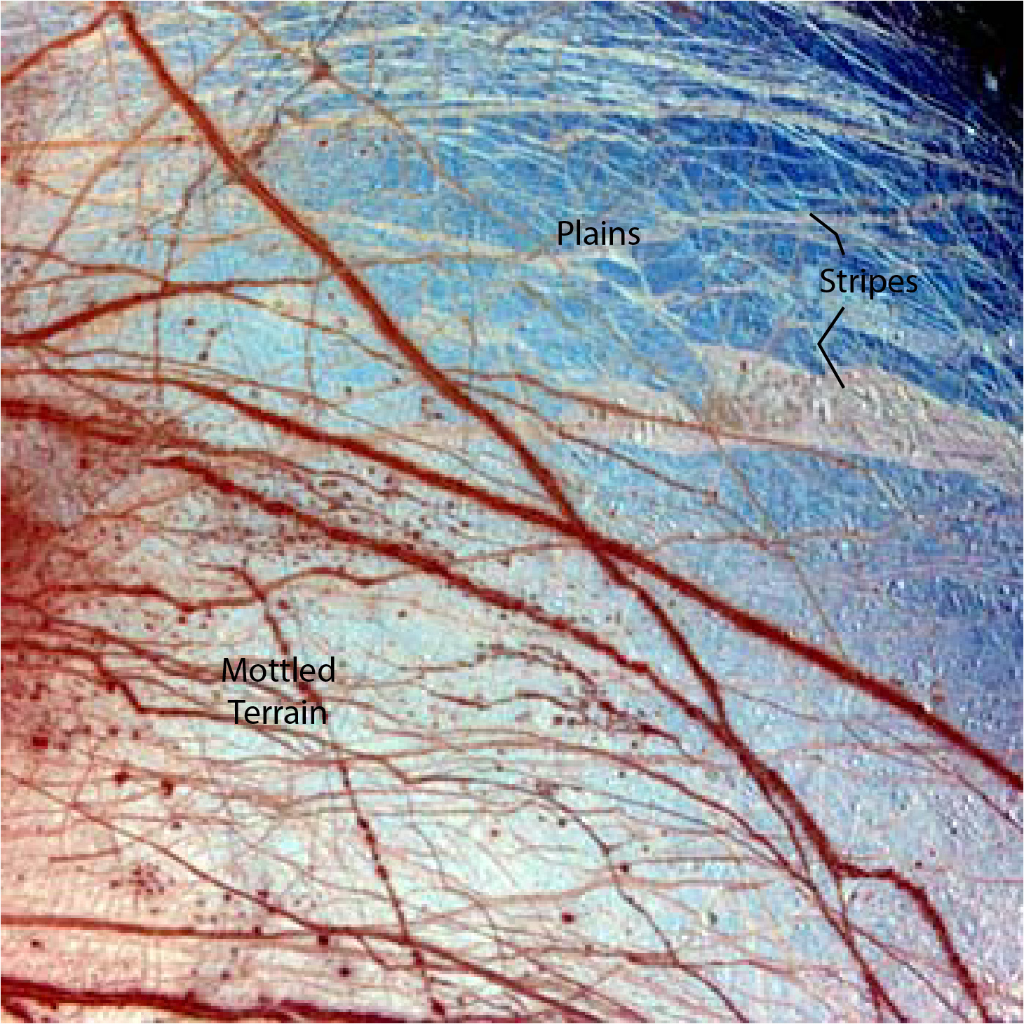 complex fracture system